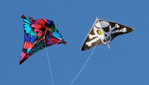 kite_fight
